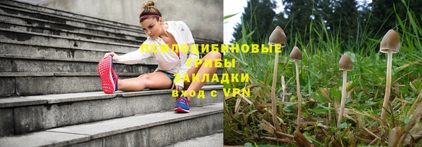 apvp Заволжье